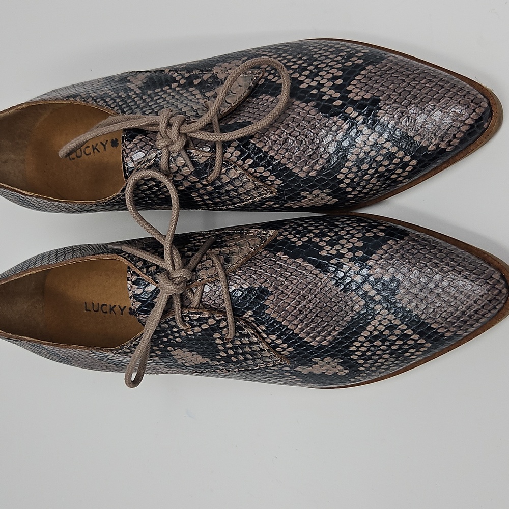 Lucky Brand Erreka Snakeskin Lace-Up Derby Oxfords Womans 7M - Picture 2 of 11
